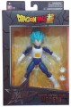 Super Saiyan Blue Vegeta