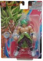 Super Saiyan Broly