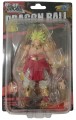 Super Saiyan Broly